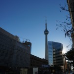 CN Tower fern